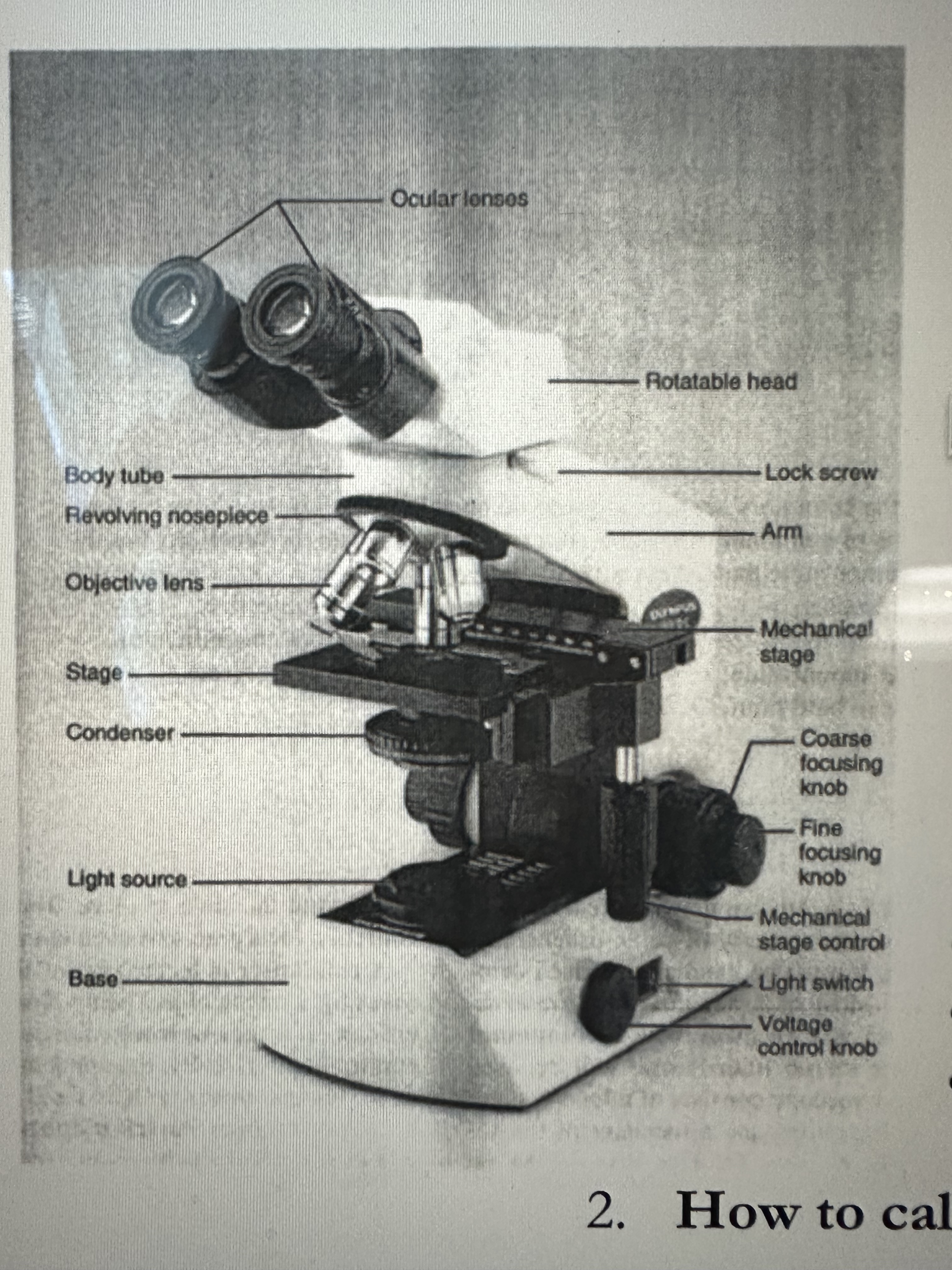 <p>regulates light intensity</p>