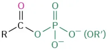 <p>-oyl phosphate</p>