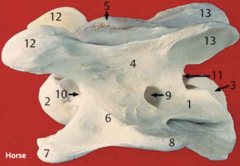 <p>5?</p>