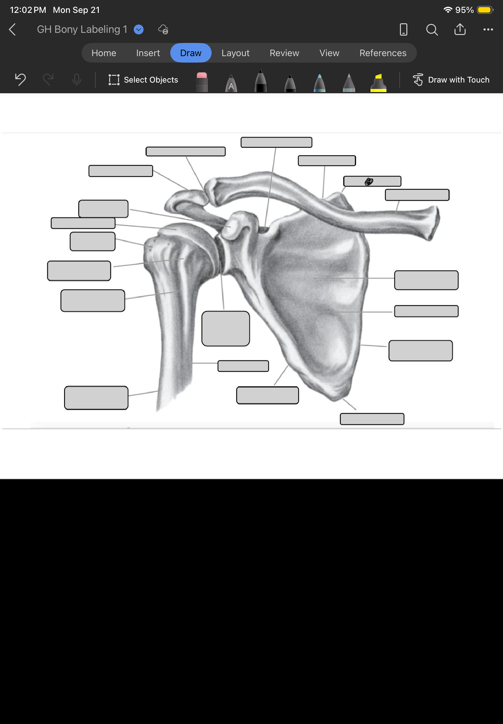 term image