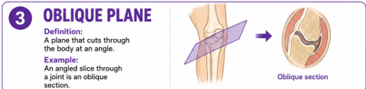 <p>A plane that cuts through the body at an angle.<br>Example: An angled slice through a joint is an oblique section.</p>