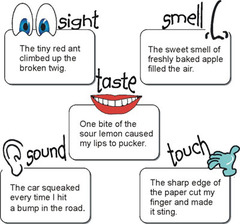<p>descriptive language that appeals to the senses</p>