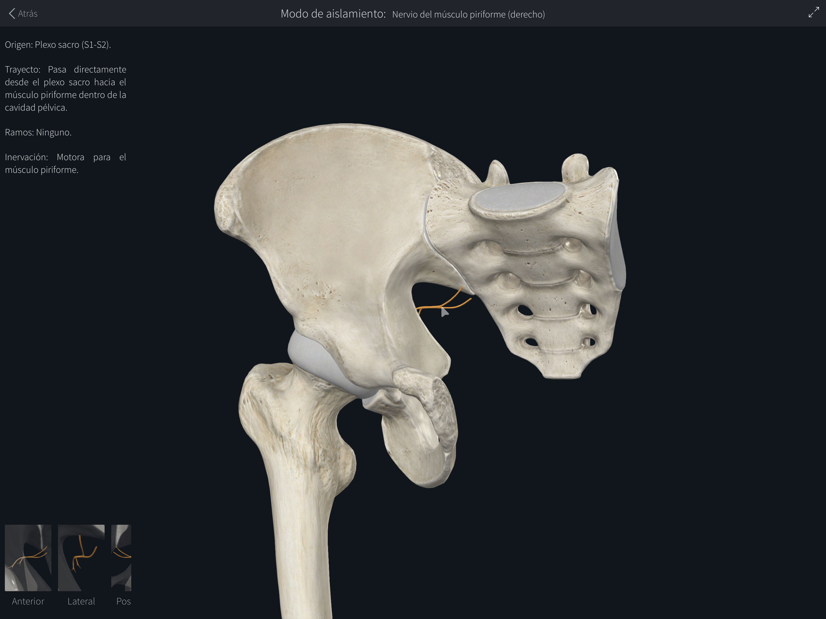<p>¿Qué es esto?</p>