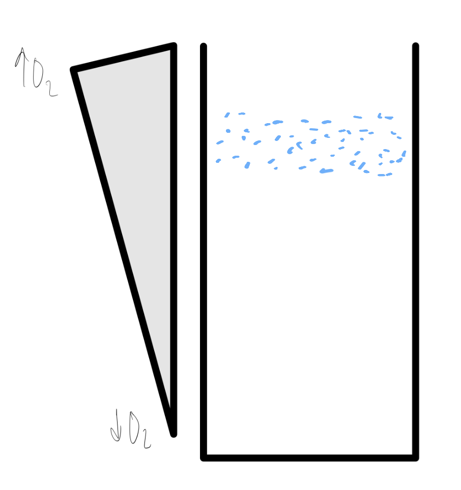 <p>What type is this bacterias O2 preference? </p>