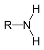 <p>functional group </p>