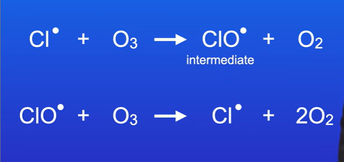 <p>The catalyst forms the intermediate in stage 1]</p><p>In stage 2 , the intermediate reacts again and catalyst is regenerated</p>