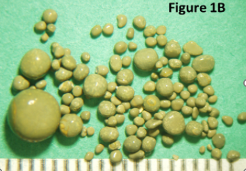 <p>what is this?</p>