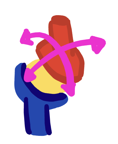 <p>condyloid joint</p>