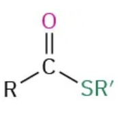 <p>-thioate</p><p>substituent: -carbothioate</p>