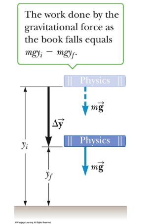 <p>• PE = mgy = mgh<br>• W<sub>gravity</sub> = -mg(y<sub>f</sub> - y<sub>i</sub> )<br>• Units of Potential Energy are the same as those of Work and Kinetic Energy</p><ul><li><p><span style="color: rgb(242, 242, 242);">Joule (J)</span></p></li><li><p><span style="color: rgb(242, 242, 242);">GPE/PEg=mgh</span></p></li><li><p><span style="color: rgb(242, 242, 242);">h=y</span></p></li></ul><p></p>