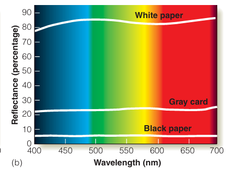 <p>White: absorbs all, gray: some, black: little to none</p>