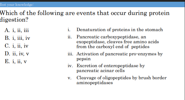 <p>Which of the following are events that occur during protein digestion?</p>