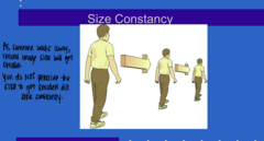 <p>What is size constancy?</p>