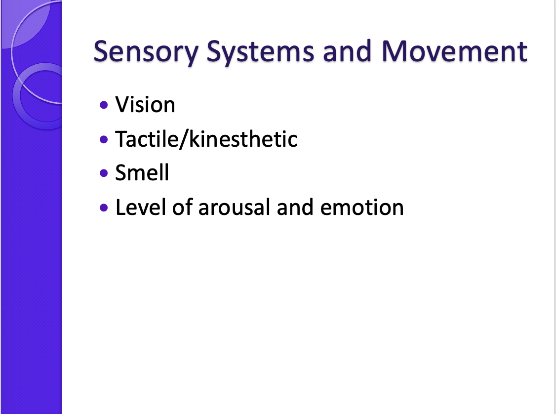 <p><span>Vision comes first</span></p><p style="text-align: left;"><span>In prone they do lots of antigravity movement which proved tactile/kinesthetic information so if the baby is low tone and cant push off then they have impaired sensory because they don’t get that kinesthesia into their senses</span></p><p style="text-align: left;"></p><p style="text-align: left;"><span>Smell of food, sme</span></p>