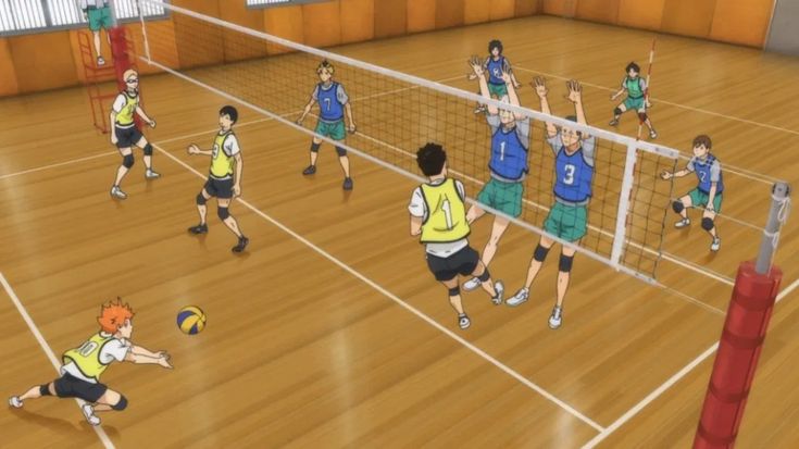 <p>play volleyball</p>