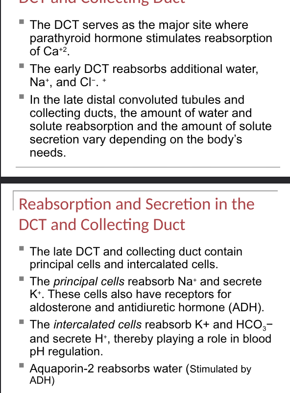 <p>Summarise  37, 38</p>