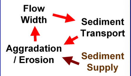<p>Process-form feedbacks on evolving fans:</p>