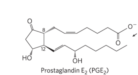 <p>Function?</p>