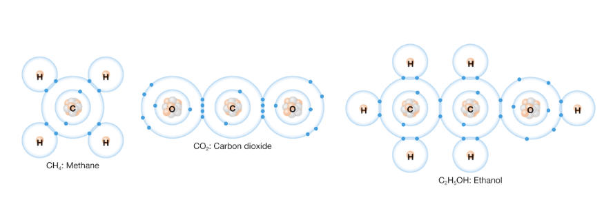 <p>In methane gas, how many electrons is each hydrogen atom sharing? How many is the carbon atom sharing?</p>