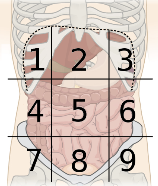<p>8</p>