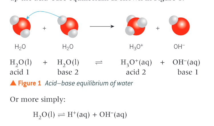 <p>water ionises slightly, acting as both an acid and a base</p>