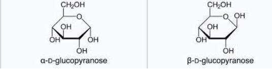 <p>α-glukos är mindre stabil med OH-grupp neråt; β-glukos är mer stabil med OH-grupp uppåt.</p>