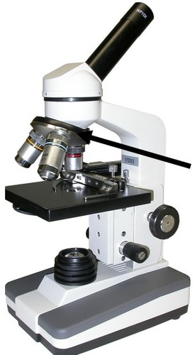 term image