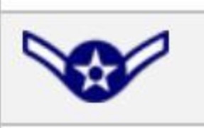 <p>USAF Enlisted Ranks</p>