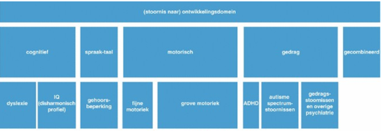 <p>Hierover wordt vaak gesproken bij jonge kinderen. Er is dan sprake van een beperking in twee of meer ontwikkelingsdomeinen (zie foto).</p>