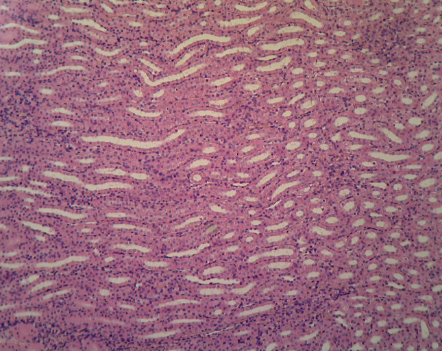 <p>What is this structure?</p>