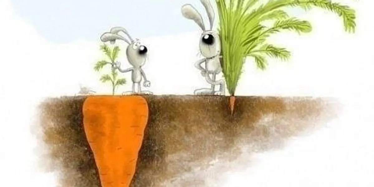 <p><strong>Don’t judge a book by its cover</strong></p><p></p>