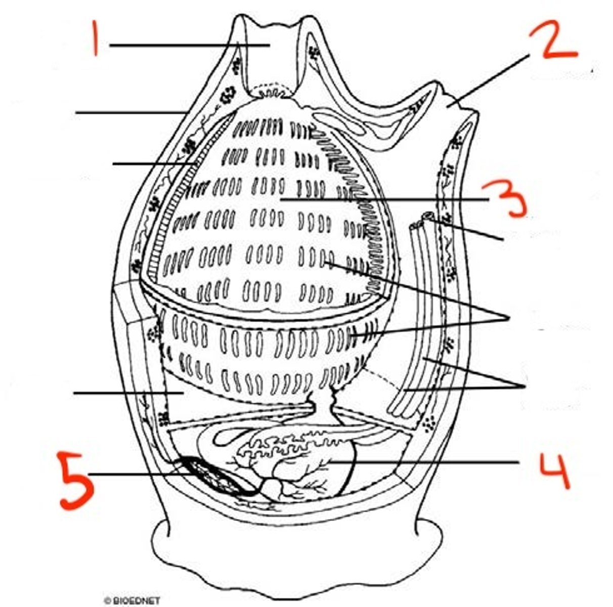 <p>what is 2?</p>