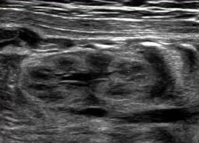 <p>what plane was this taken in?</p>