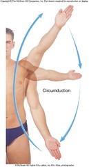 <p>Axis: Oblique</p><p>Movements: circumduction</p>