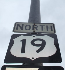 <p>Nineteen</p>