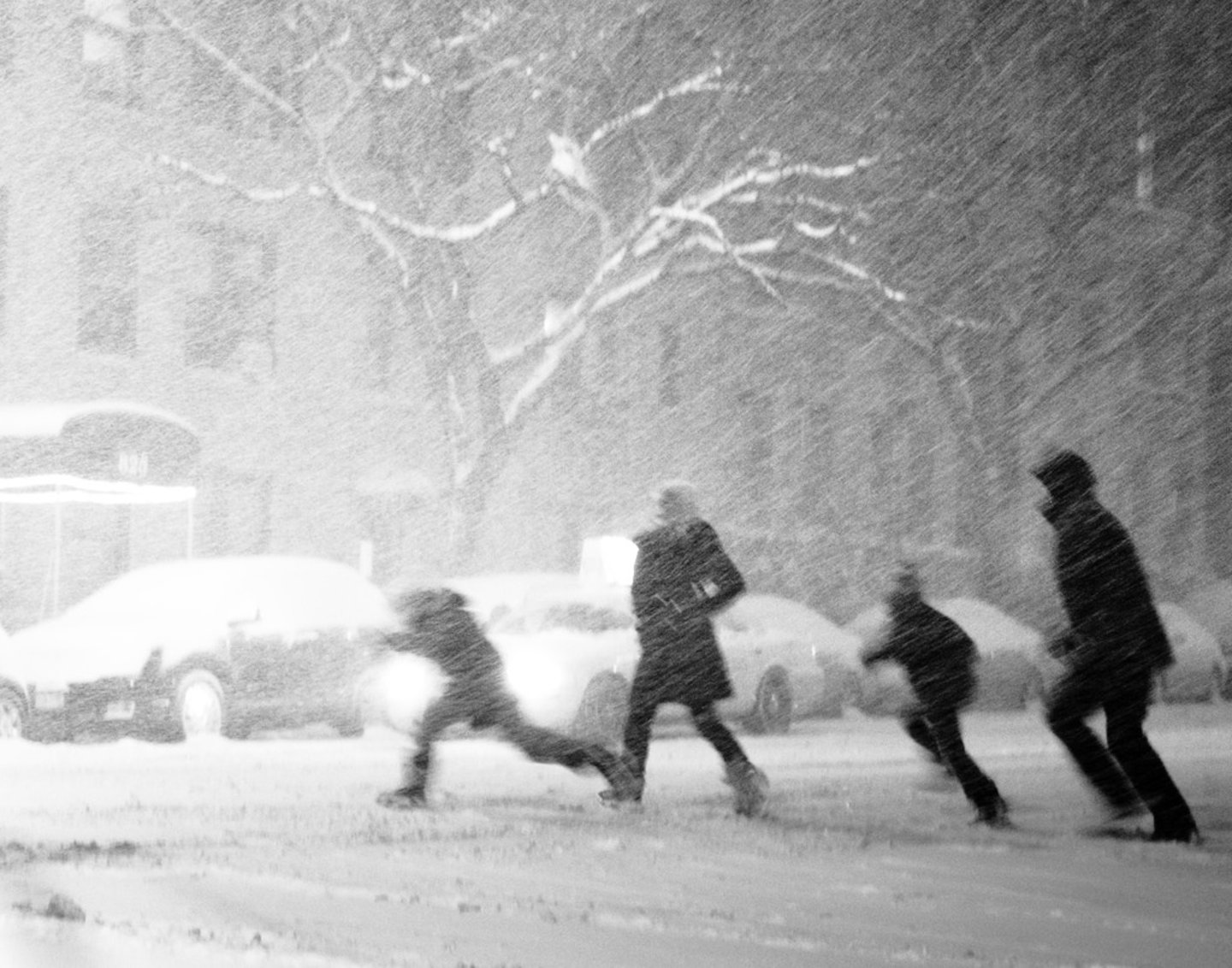 <p>A heavy snowstorm with strong winds</p>