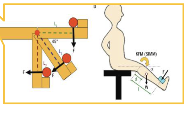 <ul><li><p>resistance always making 90 dg to leg (tibia) regardless of ROM</p></li><li><p>good challenge to quad throughout range</p></li><li><p>quad force is pretty much the same </p></li></ul><p></p>