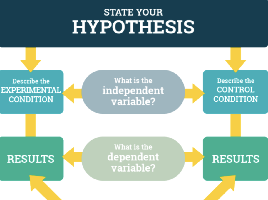 <p>What is the experimenter manipulating and measuring?</p>