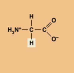 <p>Hydrophobic</p>