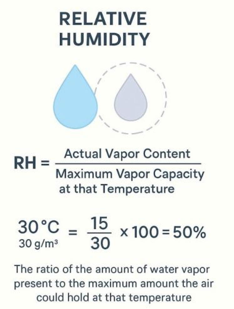 <p><strong>Relative Humidity </strong></p>
