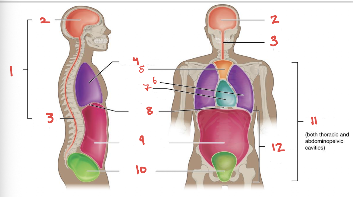 <p>What is number 10?</p>