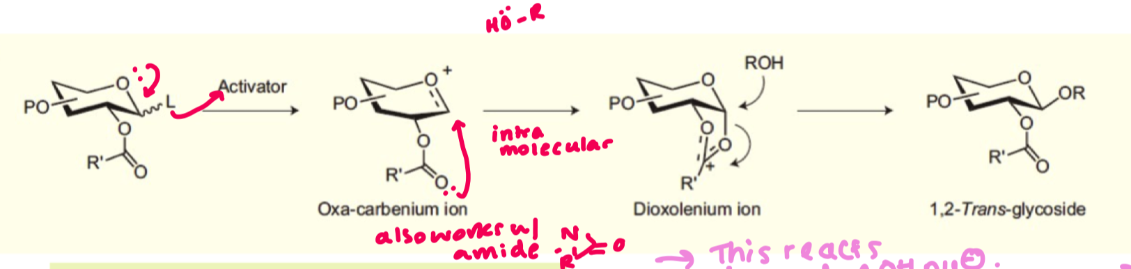 <ul><li><p>alcohol nucleophile is poor so ester can attack intramolecularly instead at the anomeric carbon. </p></li><li><p>this form the 1,2 trans ring as it is favoured (eq/ax) - stabilised carbocation</p></li><li><p>this allows the nucleophile to attack and as axial position is occupied, equatorial formation is very favoured</p></li><li><p>the only exception is if the ester group is axial first</p></li></ul><p></p>