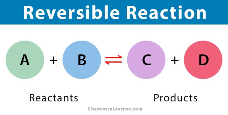 <p>Reactants are converted to products but some product can be converted back to reactant</p><ul><li><p><span>A chemical reaction that can go in both directions. Reactants turn into products, and the products can also turn back into reactants</span></p></li></ul><p></p>