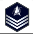 <p>E-5; delta/globe/orbit symbol with 3 chevrons beneath</p>
