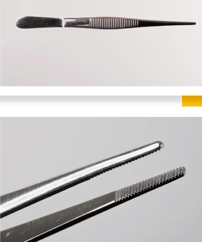 <p>Forceps</p>