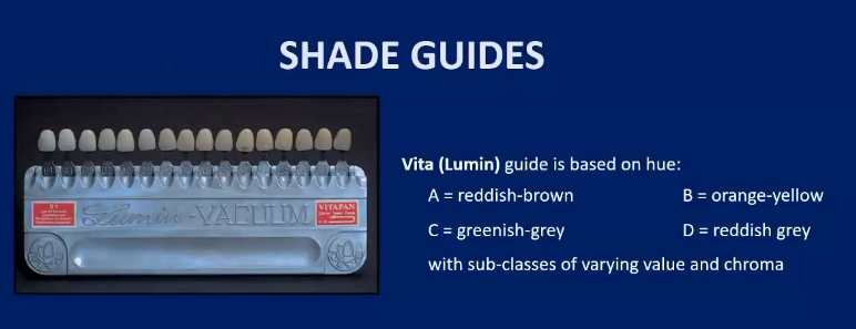 <ul><li><p>Based on Hue with subclasses of value and chroma</p></li></ul><p></p>