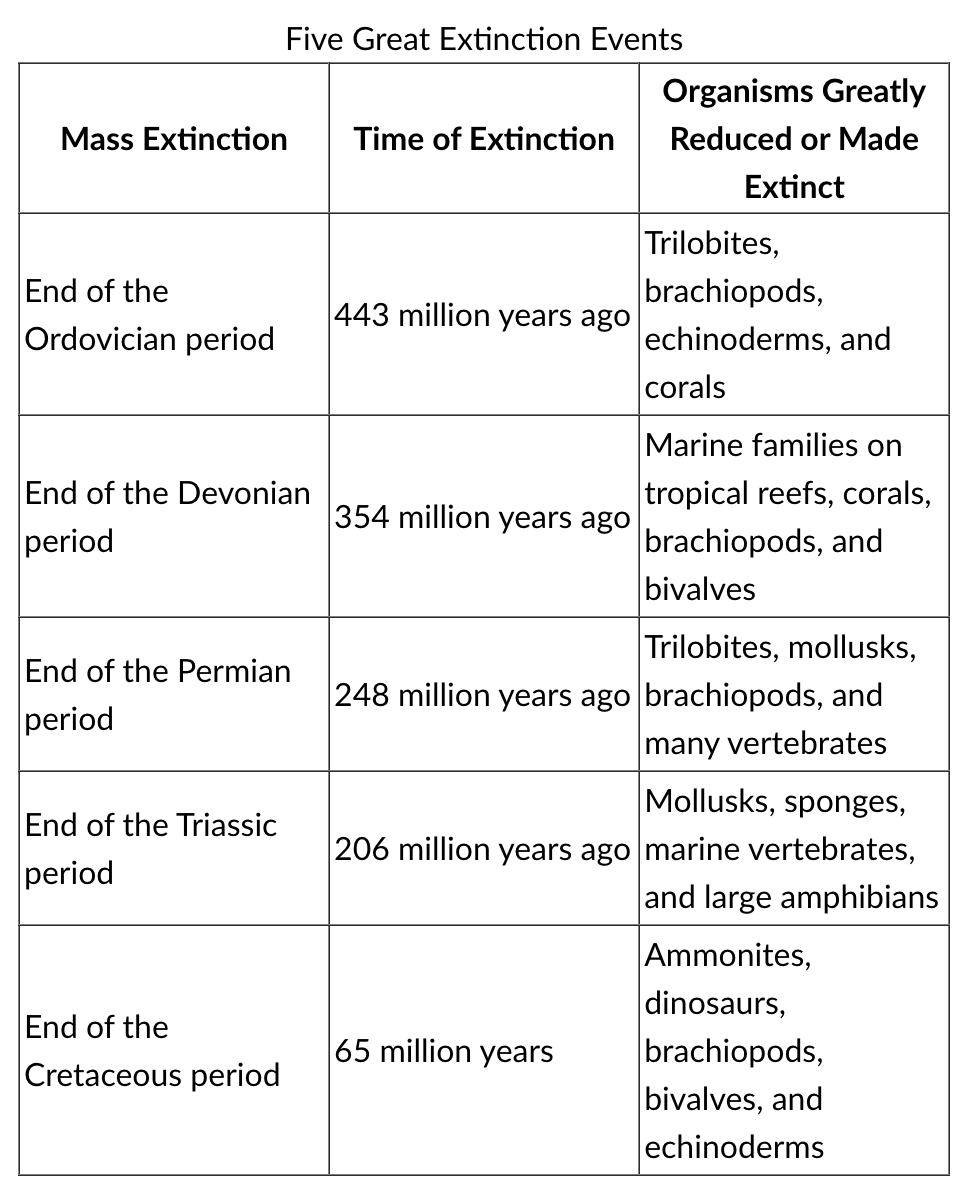 <p>A group of students summarized information on five great extinction events.<br><br>The students are sampling a site in search of fossils from the Devonian period. Based on the chart, which of the following would be the most reasonable plan for the students to follow?</p>