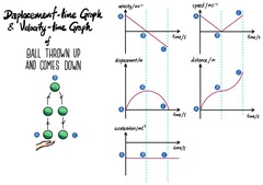 <p>Calculate the gradient of the displacement-time graph.</p>