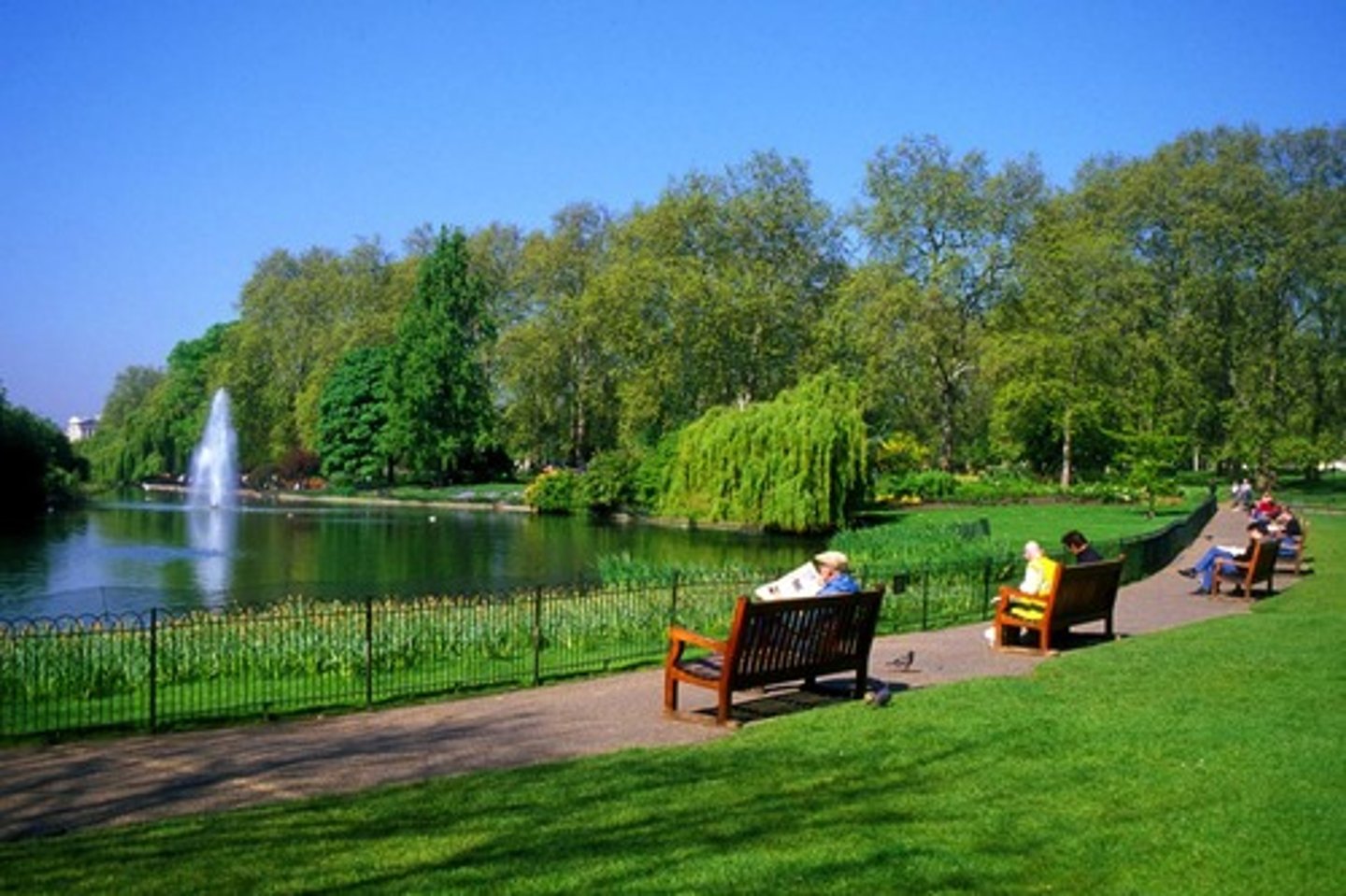 <p>mi city does not have parks, gardens</p>