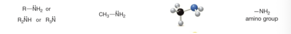 <p>Type of Compound → General Structure → Example → 3-D Structure → Functional Group</p>